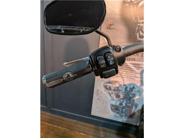 2018 Harley-Davidson Softail