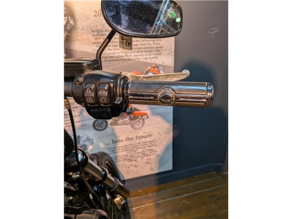 2018 Harley-Davidson Softail