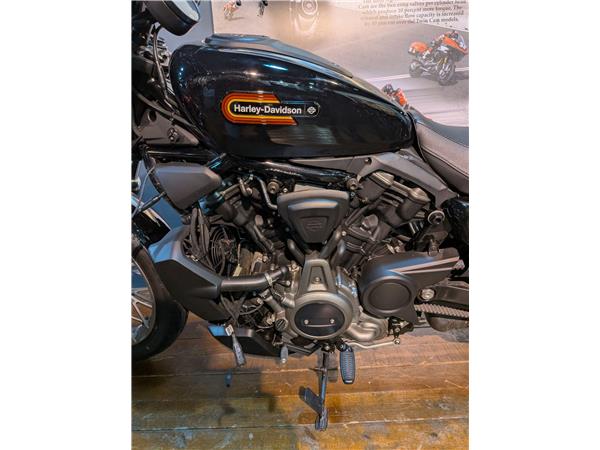 2023 Harley-Davidson Sportster