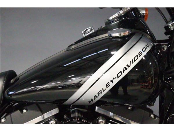2016 HARLEY-DAVIDSON DYNA FXDF FAT BOB
