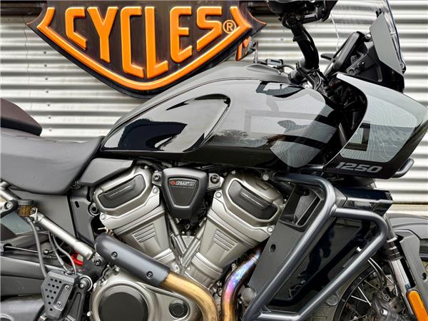 2025 HARLEY-DAVIDSON PAN AMERICA