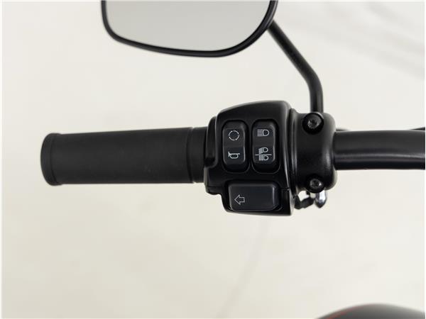 2018 Harley-Davidson FXBB SOFTAIL Street Bob Two-Tone