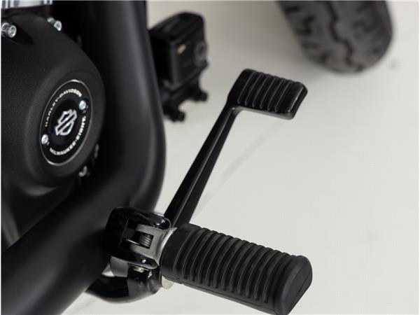 2018 Harley-Davidson FXBB SOFTAIL Street Bob Two-Tone