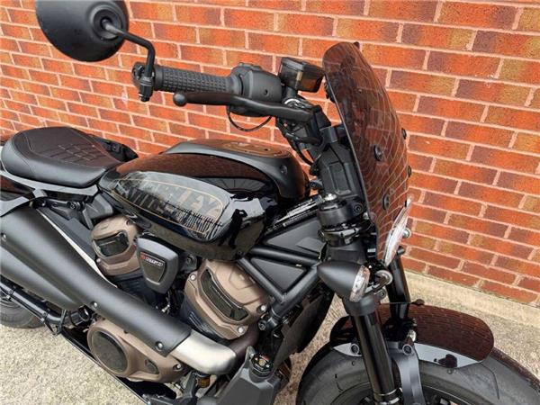 2022 Harley-Davidson Sportster S 22