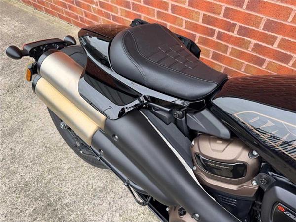 2022 Harley-Davidson Sportster S 22