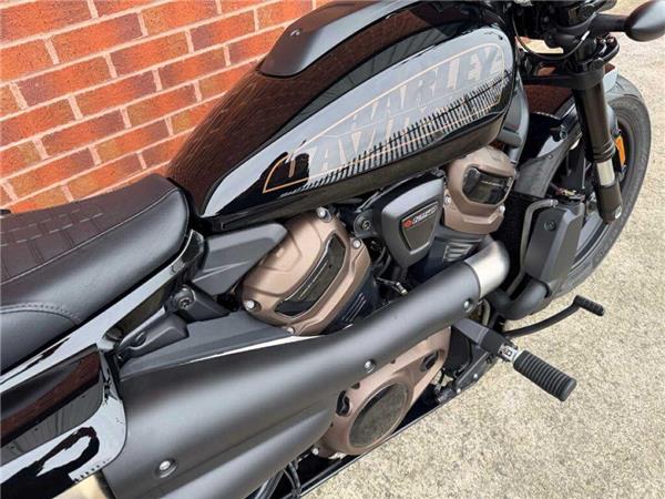 2022 Harley-Davidson Sportster S 22