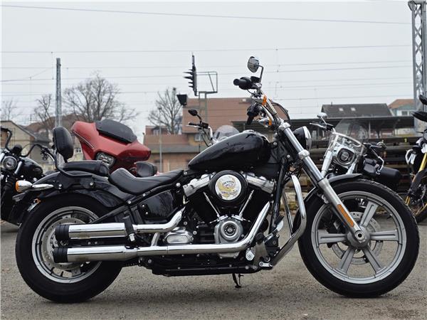 2022 Softail Standard