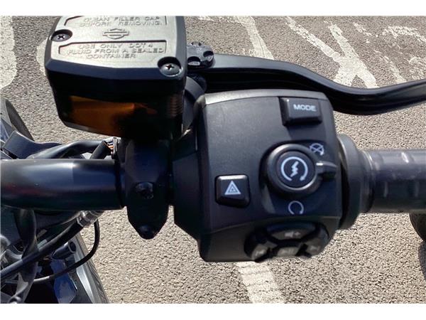 2021 Harley-Davidson Sportster