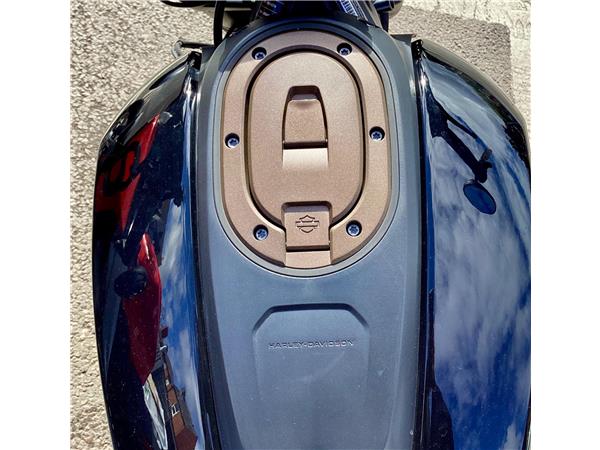 2021 Harley-Davidson Sportster