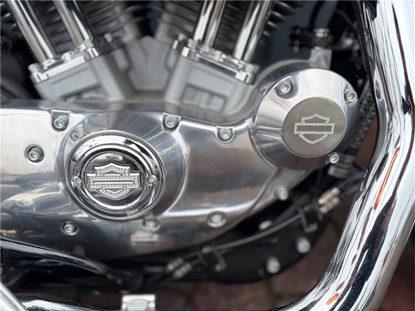 Sportster XL883 Superlow 