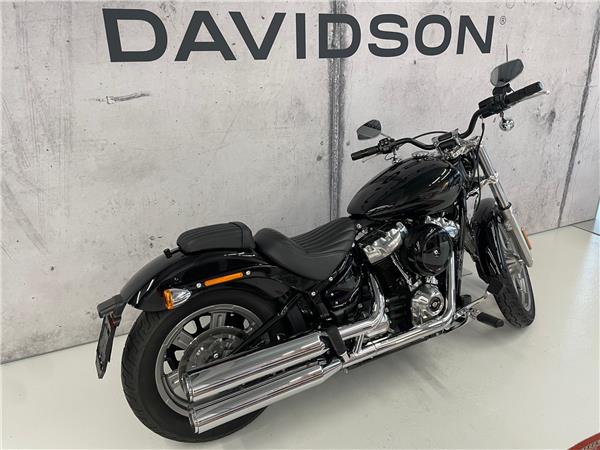 2023 harley-davidson FXST Softail Standard 107