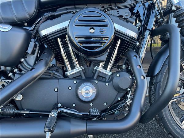 2019 HARLEY-DAVIDSON SPORTSTER XL883N IRON