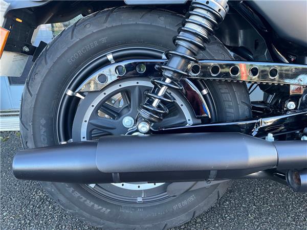 2019 HARLEY-DAVIDSON SPORTSTER XL883N IRON