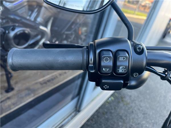 2019 HARLEY-DAVIDSON SPORTSTER XL883N IRON