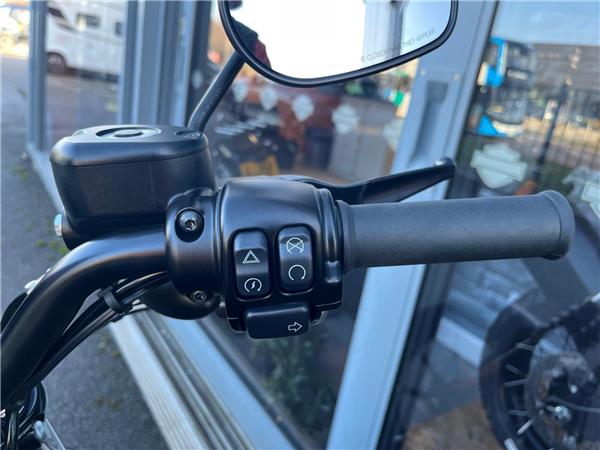 2019 HARLEY-DAVIDSON SPORTSTER XL883N IRON