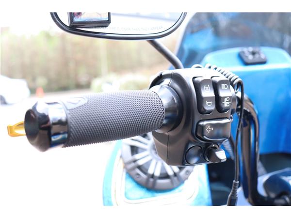 2024 HARLEY-DAVIDSON TRIKE FLRT FREEWHEELER