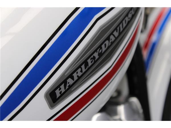 2023 Harley-Davidson Softail Standard