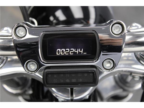 2023 Harley-Davidson Softail Standard