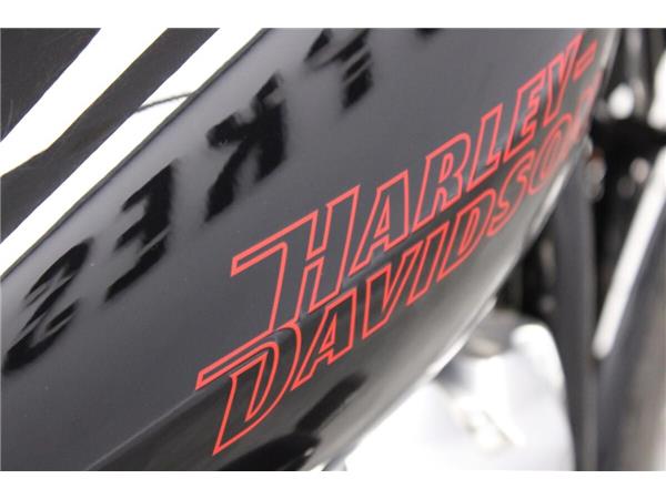 2023 Harley-Davidson Softail Standard