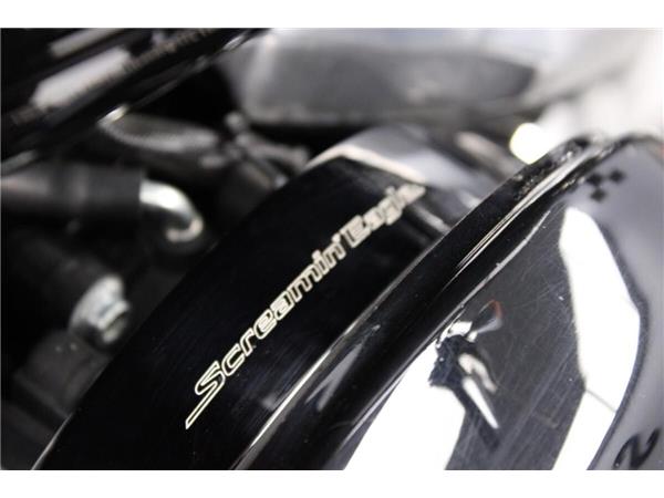 2023 Harley-Davidson Softail Standard