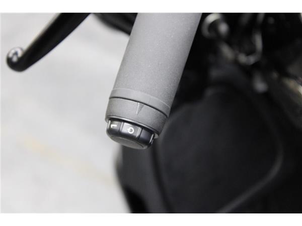 2024 Harley-Davidson Road Glide Limited