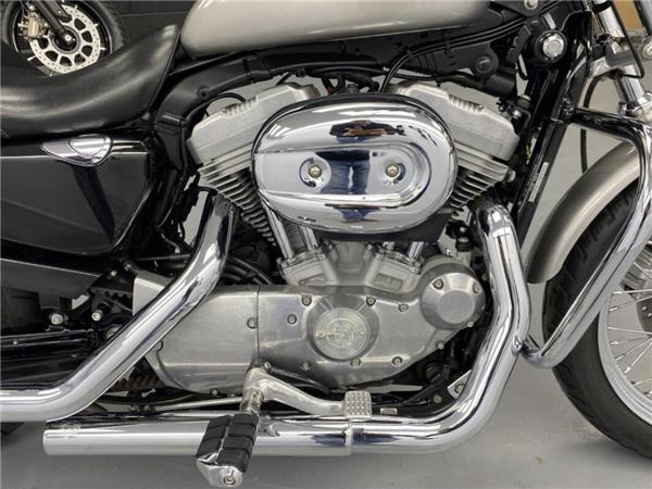 2007 Harley-Davidson Sportster 883 Low