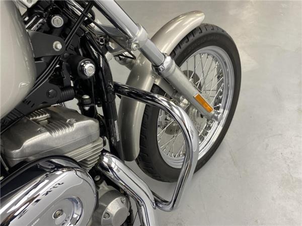 2007 Harley-Davidson Sportster 883 Low