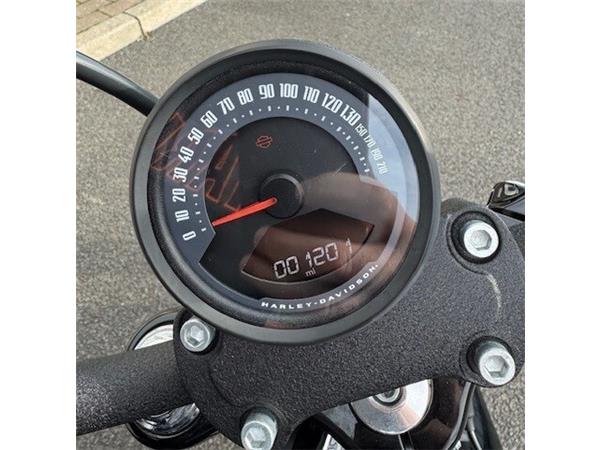 2025 Harley-Davidson Street Bob