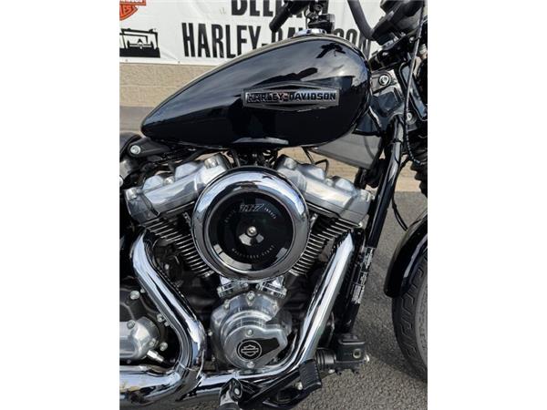 2025 Harley-Davidson Street Bob