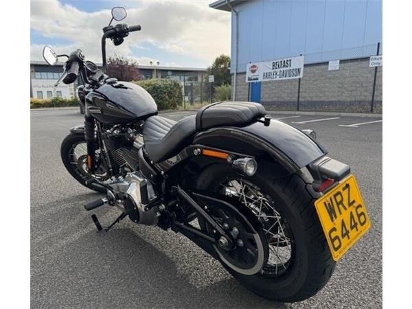 2025 Harley-Davidson Street Bob