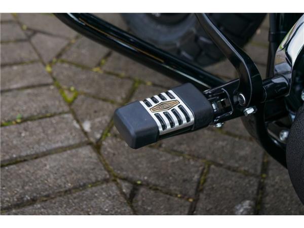 2024 Harley-Davidson Fat Bob 114