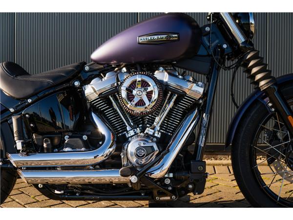 2025 Harley-Davidson Street Bob