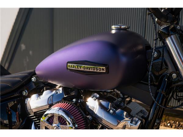 2025 Harley-Davidson Street Bob