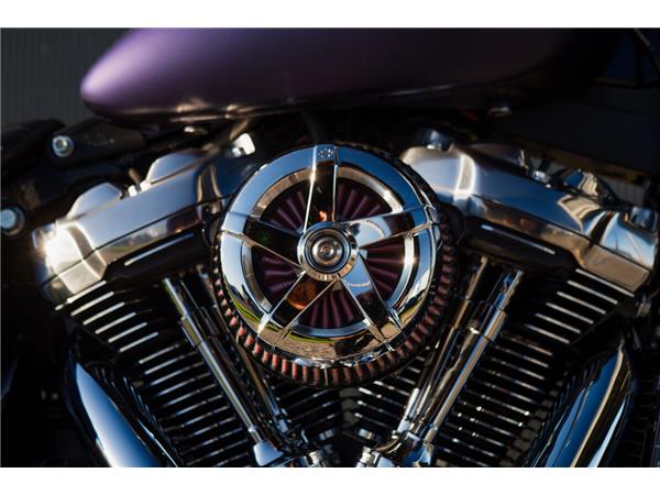 2025 Harley-Davidson Street Bob