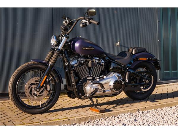 2025 Harley-Davidson Street Bob