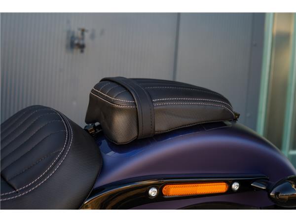 2025 Harley-Davidson Street Bob