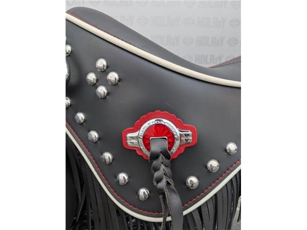 2024 HARLEY-DAVIDSON HYDRA-GLIDE REVIVAL