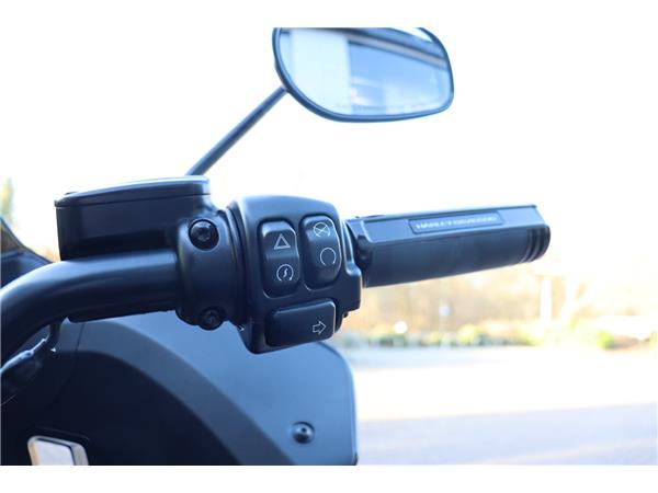 2023 HARLEY-DAVIDSON LOW RIDER ST