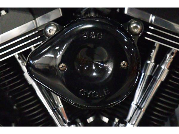 2016 HARLEY-DAVIDSON DYNA FXDF FAT BOB