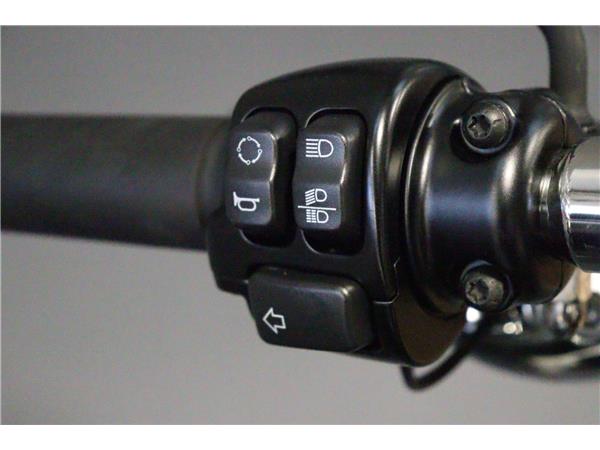 2016 HARLEY-DAVIDSON DYNA FXDF FAT BOB