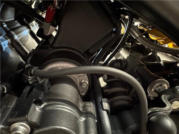 2025 YAMAHA MT-09 SP