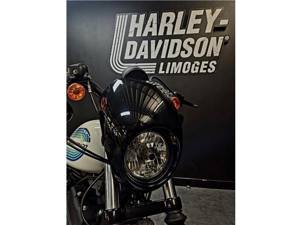2019 HARLEY-DAVIDSON IRON