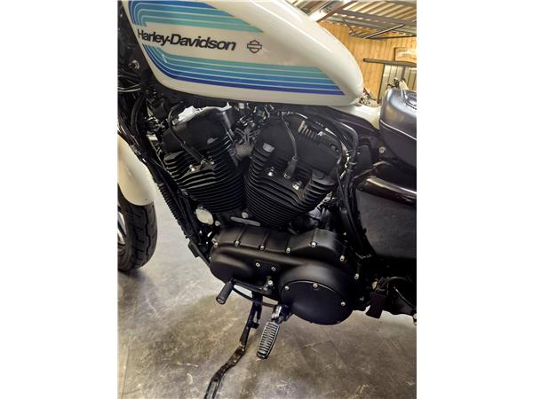 2019 HARLEY-DAVIDSON IRON