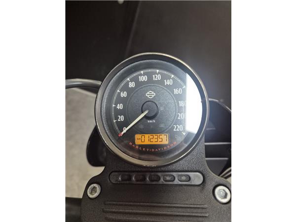 2019 HARLEY-DAVIDSON IRON