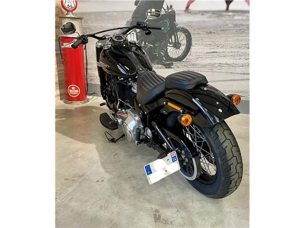 2020 HARLEY-DAVIDSON SLIM