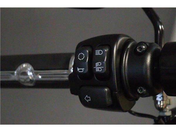 2023 HARLEY-DAVIDSON SOFTAIL FXBBS STREET BOB 114