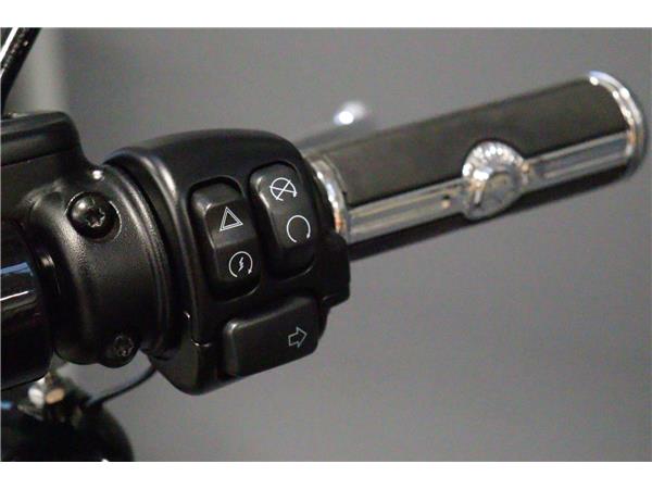 2023 HARLEY-DAVIDSON SOFTAIL FXBBS STREET BOB 114