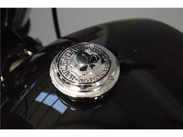 2023 HARLEY-DAVIDSON SOFTAIL FXBBS STREET BOB 114