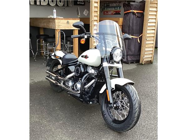 2019 Harley-Davidson Softail