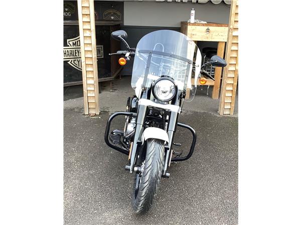 2019 Harley-Davidson Softail